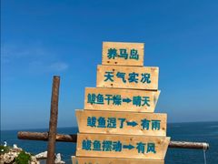 -养马岛旅游度假区