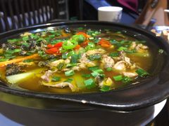 -福照楼汽锅鸡·云南菜(护国路店)