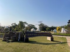 -大湾区中央湿地公园