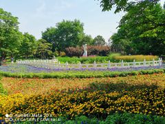 西门花坛-丰台花园