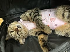 -美迦爱-牙专科·兔科·骨科诊疗中心(北苑店)