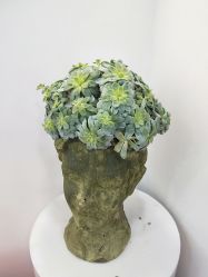 -FINE HAIR造型沙龙