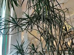 -良木缘咖啡西餐(蜀汉路店)