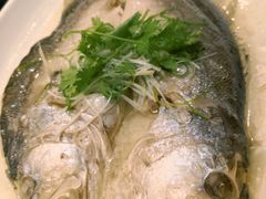 金汤大黄鱼-鸿运酒楼