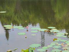 -八卦田遗址公园