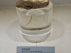 -河南自然博物馆