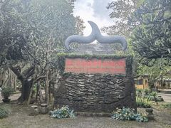 -海口火山口国家地质公园