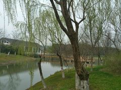 -尚贤河湿地