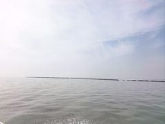 -合肥滨湖国家森林公园