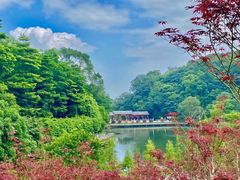 -广州市帽峰山景区