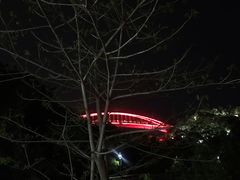 -金鸡山公园