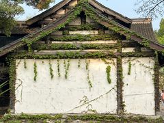 -柯岩风景区