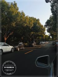 -前小桔亲子创意农场·草莓采摘·露营烧烤