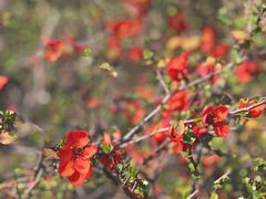 -杭州城北体育公园