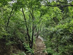 -大岭沟猕猴桃谷风景区
