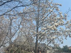 -郑和公园