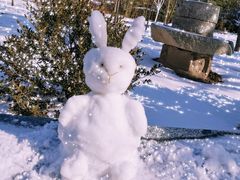 -九如山休闲旅游度假区