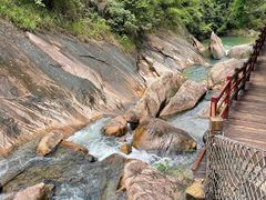 -广州白江湖森林公园