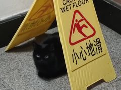 -阿姨小肉摊(同济西苑店)
