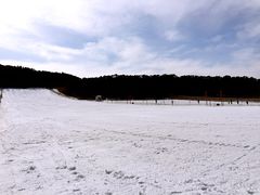 -十三陵雪世界滑雪场