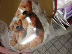 珍妮曲奇&nbsp;Jenny&nbsp;Bakery(尖沙咀店)-珍妮曲奇聪明小熊(尖沙咀店)