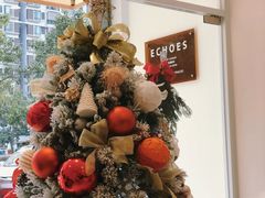 -echoes coffee回响咖啡(红山店)