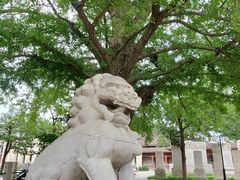 -北京石刻艺术博物馆(五塔寺)