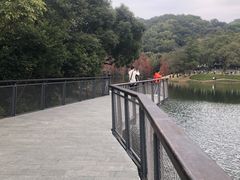 -广州市白云山风景名胜区