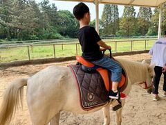 -太阳岛度假酒店