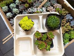 -瑞虹新天地月亮湾