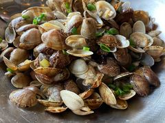 红岛蛤蜊-浩运海鲜·16年专注青岛菜(石老人店)