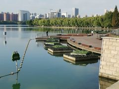 -天鹅湖体育公园