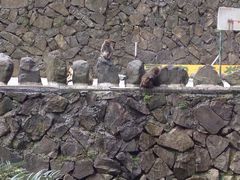 -太湖源风景区