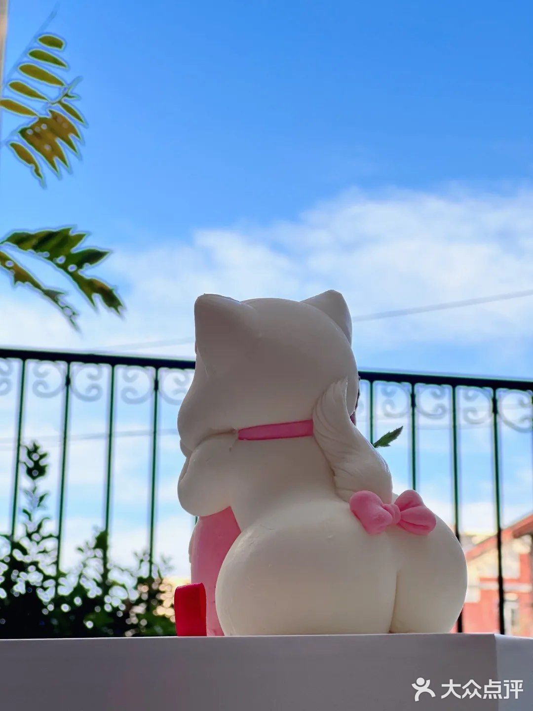 今年生日的快乐被这只翘tun小奶猫承包了[爱心]