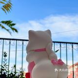 今年生日的快乐被这只翘tun小奶猫承包了[爱心]