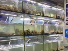 -海之鲜大排档(东山海鲜金銮湾店)