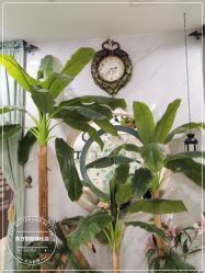 -东方凯丽·美容抗衰会所·菲比店