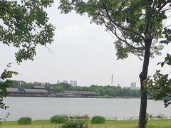 -长广溪湿地公园