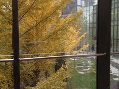 iphone_upload_pic-北京丽晶酒店