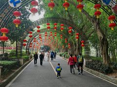 -大屏嶂森林公园