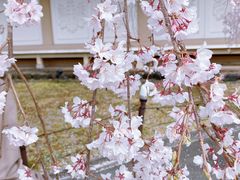 -醍醐寺