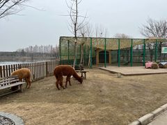 -太阳岛度假酒店