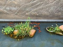 -上海市长宁区天山中医医院