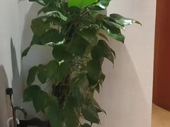 -小确幸 Massage(环贸iapm店)