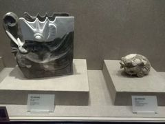 -南越王博物院(王宫展区)
