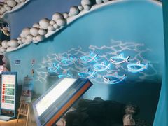 -烟台海昌鲸鲨海洋公园