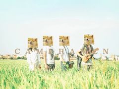 -崖口云吞(中堡店)