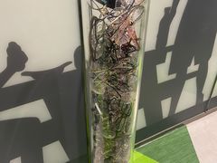 -黑马眼科·近视手术