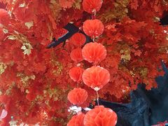 景点-芜湖方特东方神画