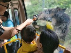-栾川竹海野生动物园